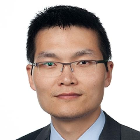 Nian Liu's profile picture