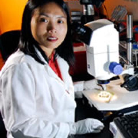 Yuhong Fan's profile picture