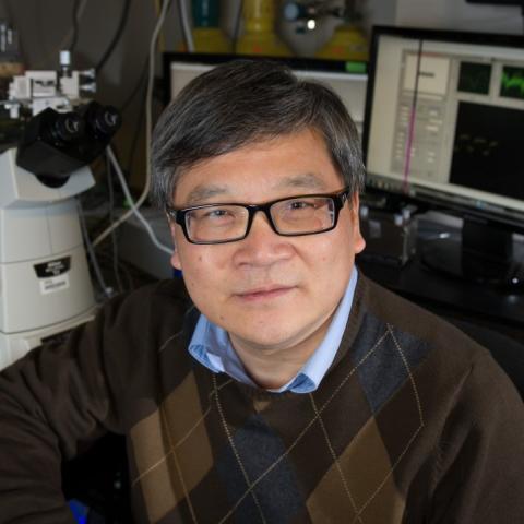 Cheng Zhu's profile picture