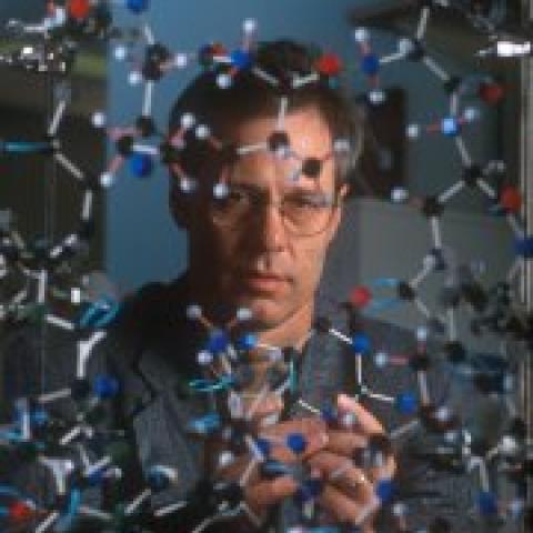 Loren Williams's profile picture