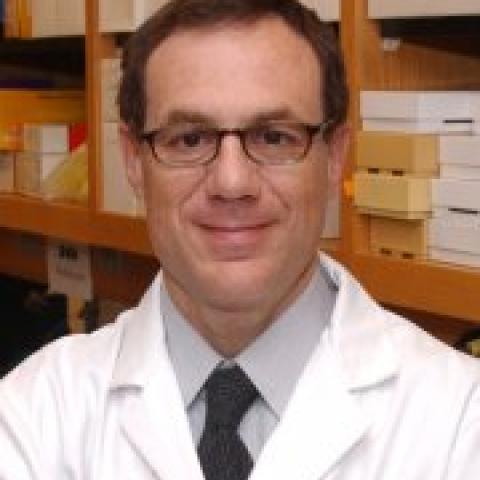 Roberto Pacifici's profile picture